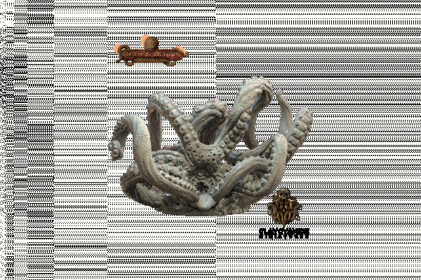 Kraken20at