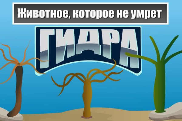 Что продают на сайте кракен