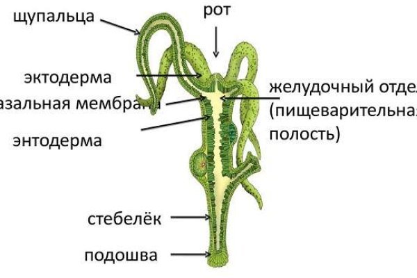 Кракен маркет зеркало