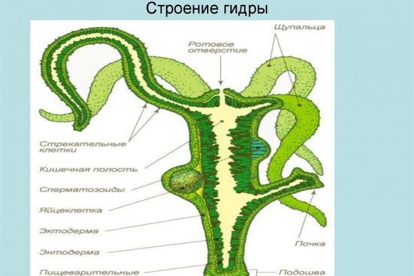 Кракен зеркало gigageek ru